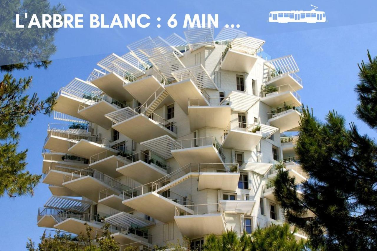 Nouveau - Jungle Montpeul - Clim - Wifi Fibre - Netflix - 5' Du Centre Et Gare - Parking - Loggia - 15' Des Plages Montpellier Bagian luar foto