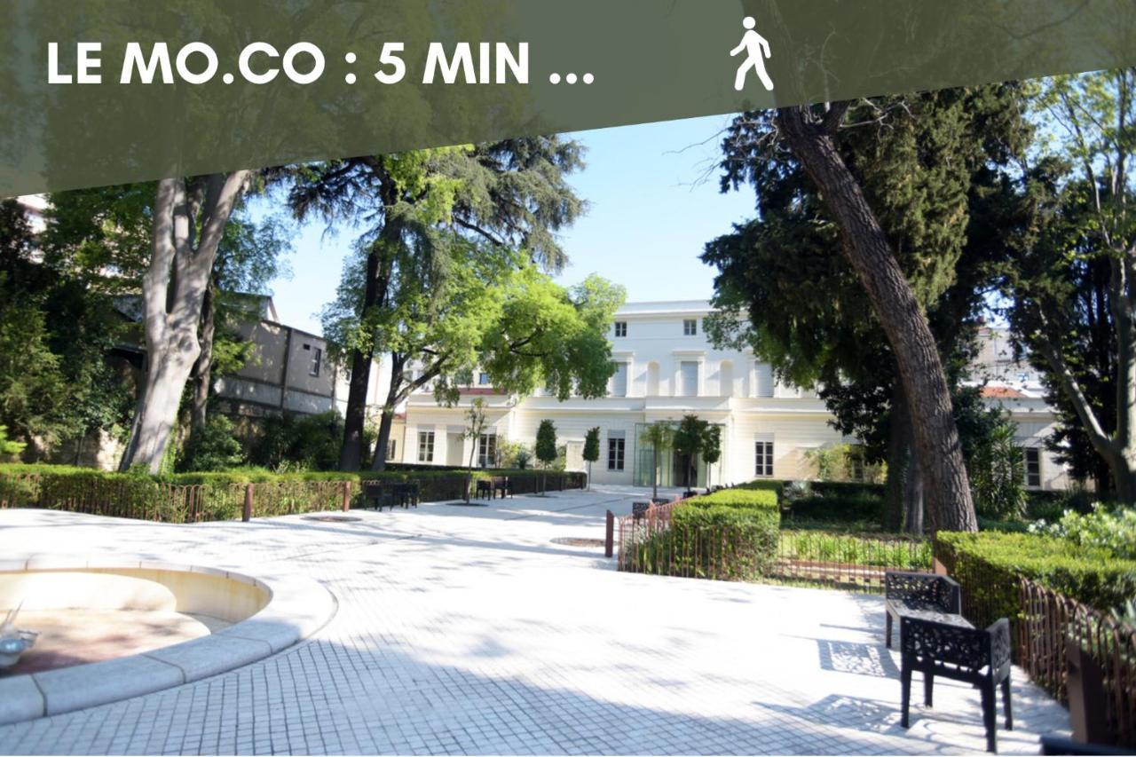 Nouveau - Jungle Montpeul - Clim - Wifi Fibre - Netflix - 5' Du Centre Et Gare - Parking - Loggia - 15' Des Plages Montpellier Bagian luar foto