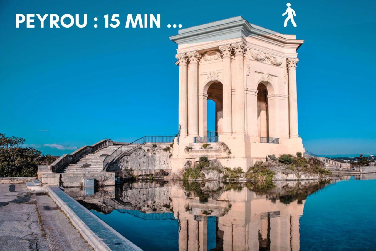 Nouveau - Jungle Montpeul - Clim - Wifi Fibre - Netflix - 5' Du Centre Et Gare - Parking - Loggia - 15' Des Plages Montpellier Bagian luar foto